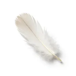Feather