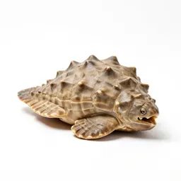 Plastron