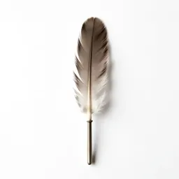 Saddle hackle