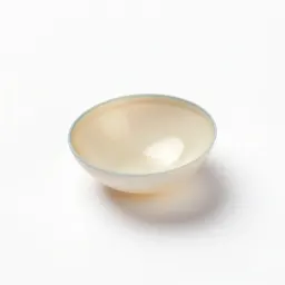 Accommodating lens implant