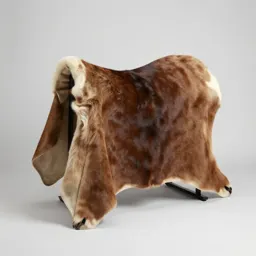 Apishamore