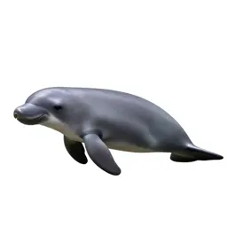 Dugong