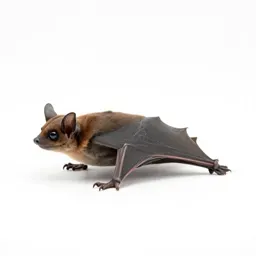 Pocketed bat
