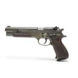 Gun