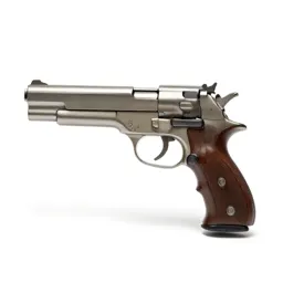 Set gun