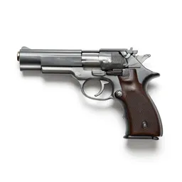 Twenty-two pistol