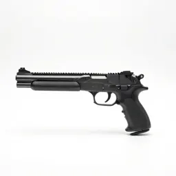Air gun