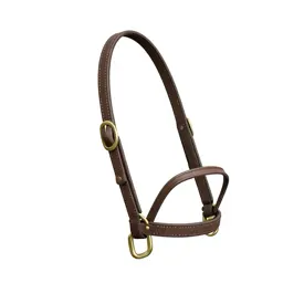 Bridle with brass fittings