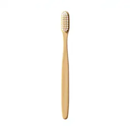 Toothbrush in a holder