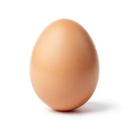 Easter egg painted