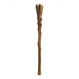 Wizard's staff