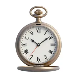 Pocket watch