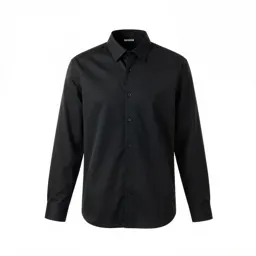 Minimalist shirt