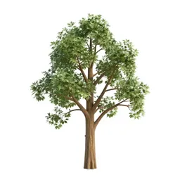 Hall tree with hooks