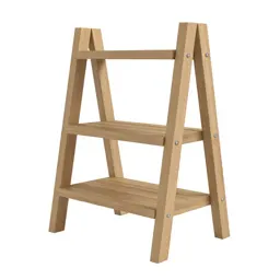 Ladder shelf