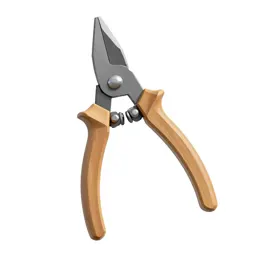 Pair of secateurs
