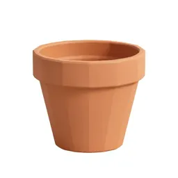 Terracotta plant pot