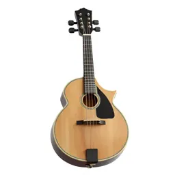 Mandolin
