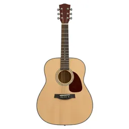 Acoustic guitar