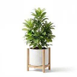 Mediterranean plant stand