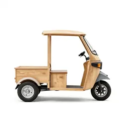 Trike