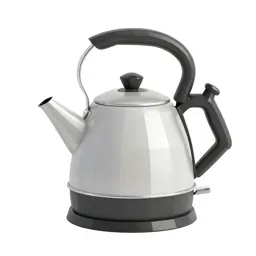 Electric kettle
