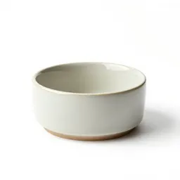 Ceramic dog bowl