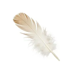 Feather wand toy