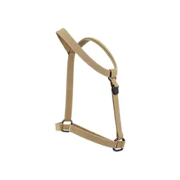 Harness with a handle