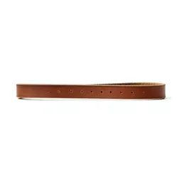 Leather dog lead