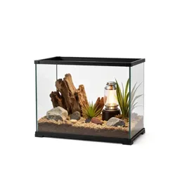 Terrarium with a heat lamp