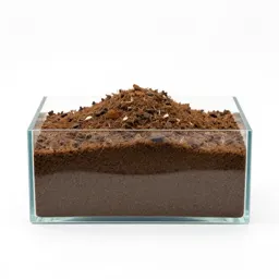 Aquarium with a planted substrate