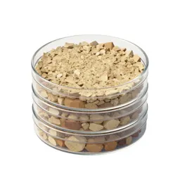 Petri dish stack