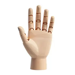 Prosthetic hand