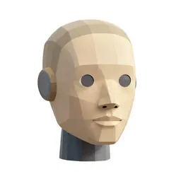 Humanoid robot head