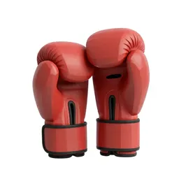 Boxing glove