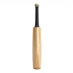 Cricket bat