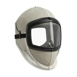 Fencing mask