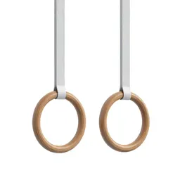 Gymnastic ring pair