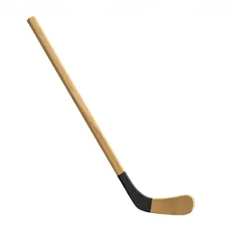 Hockey stick