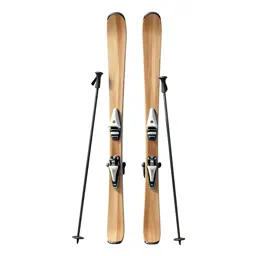 Pair of skis with poles