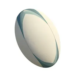 Rugby ball