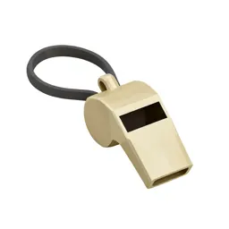 Whistle on a lanyard