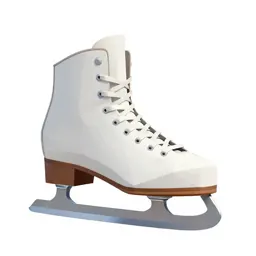 Ice skate