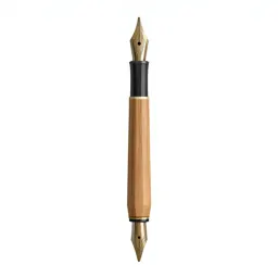 Calligraphy dip pen with nibs