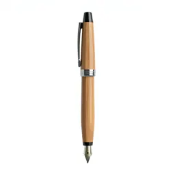 Fountain pen