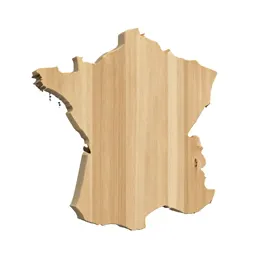 French curve template