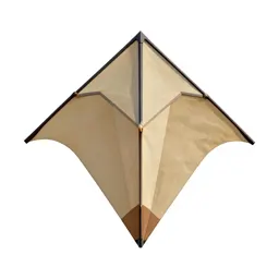 Kite