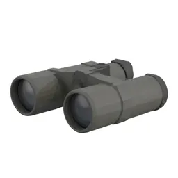 Stereoscope viewer