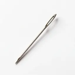 Darning needle